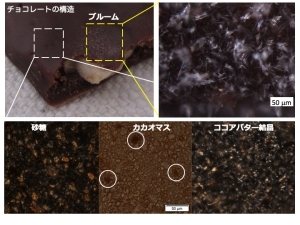 学科top Of 静岡県立大学 食品生命科学科